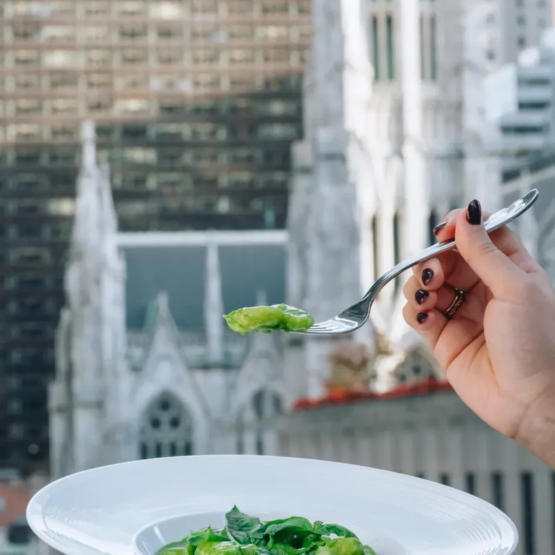 A plate held up against the view of St Patrick's